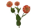 Orange zinnia spray