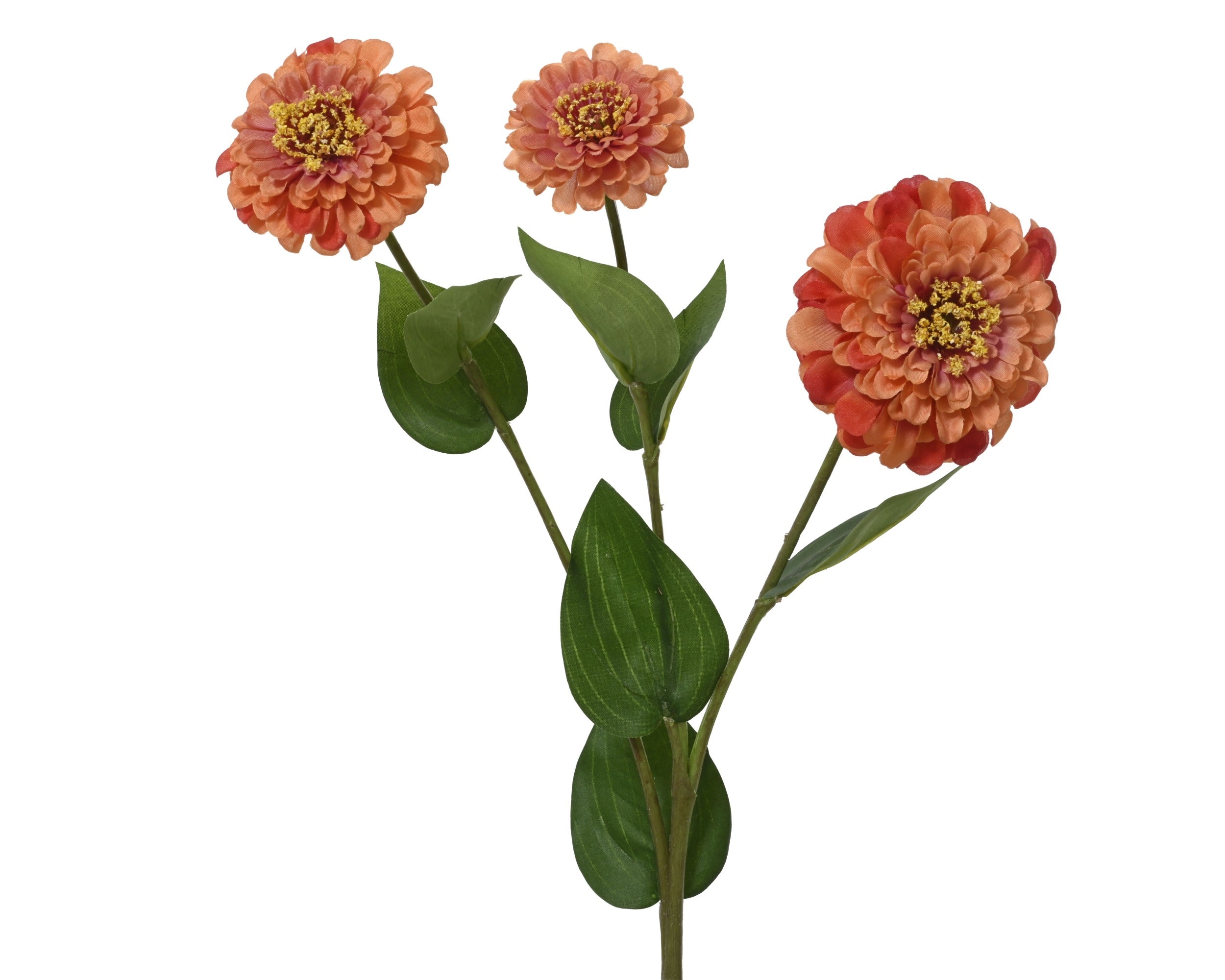 Orange zinnia spray