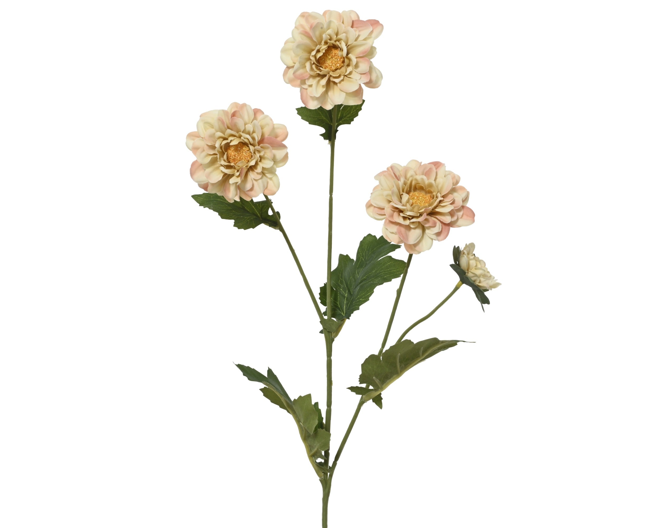 Peach toned chrysanthemum spray