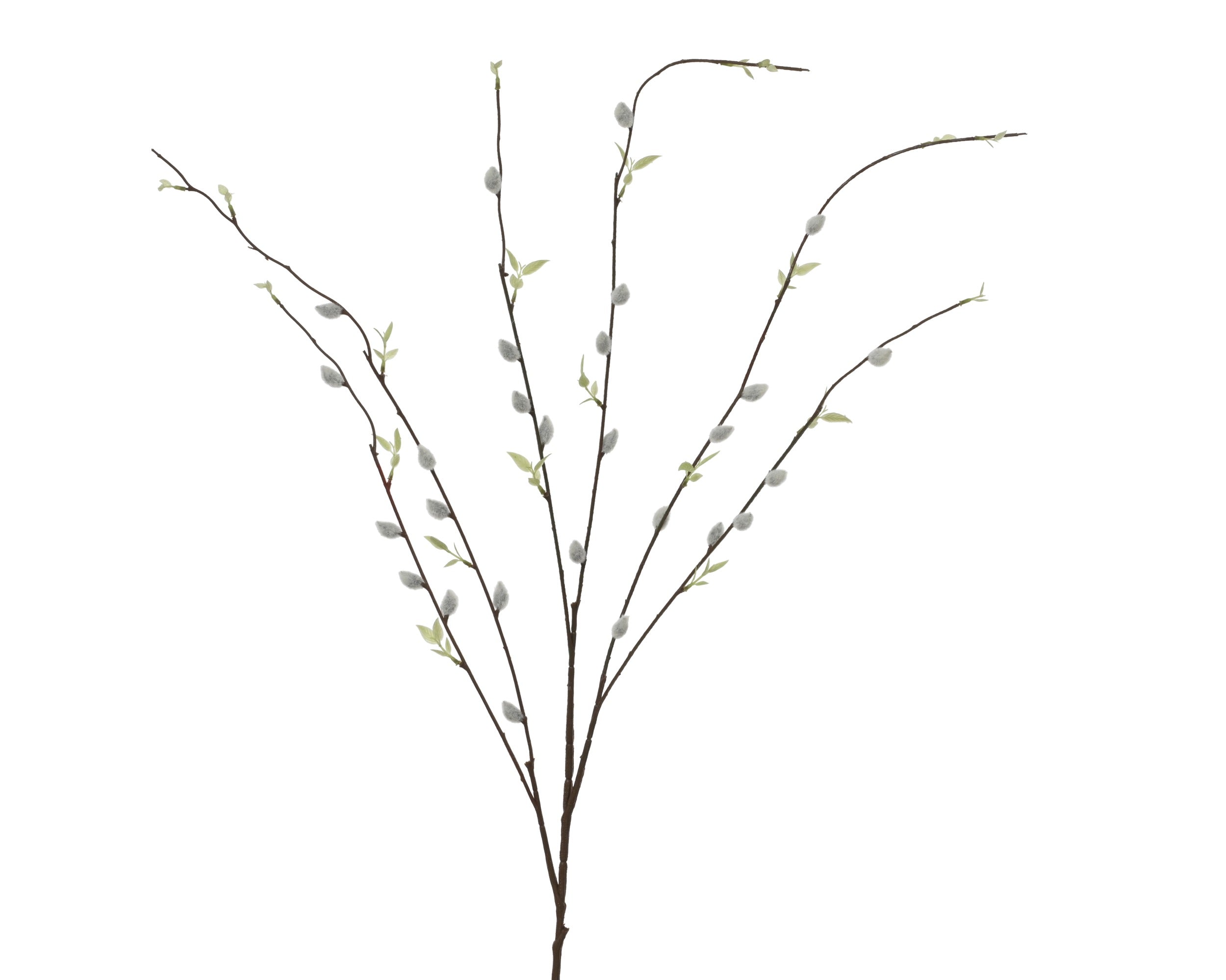 Willow bud stem (96cmH)