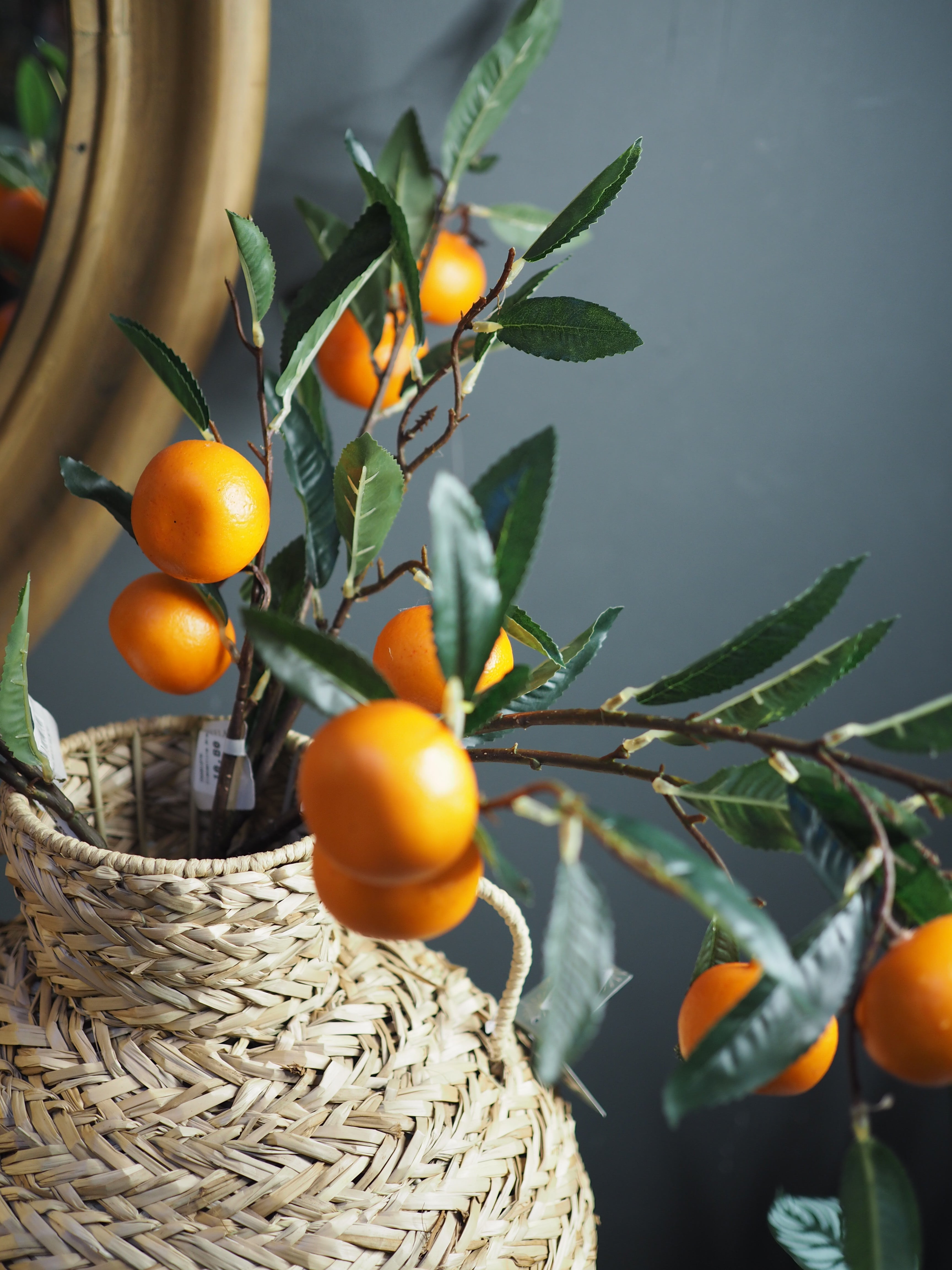 Clementine Branch