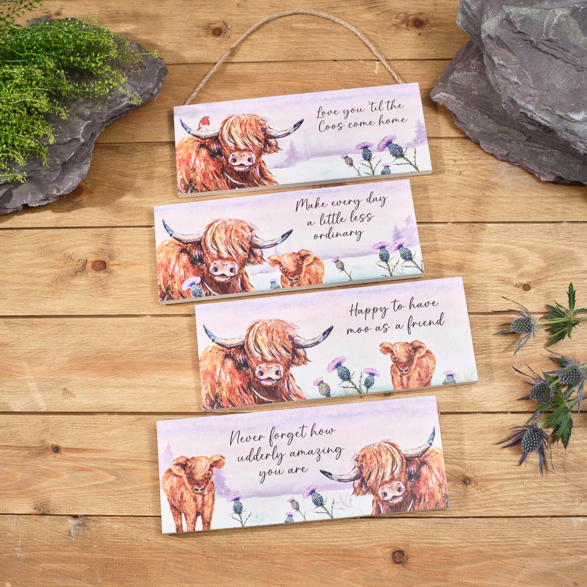 Highland Cow with Thistle Wood Plaques 4 varieties