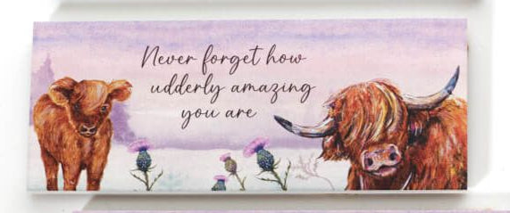 Highland Cow with Thistle Wood Plaques 4 varieties