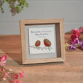 Robin remembrance pebble framed easel plaque
