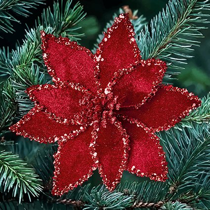 20cm burgundy velvet poinsettia with glitter edge clip on