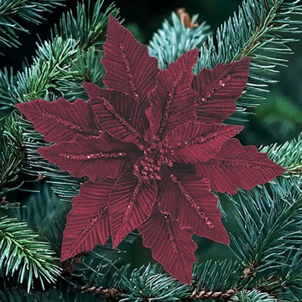 31cm burgundy velvet poinsettia with glitter clip on