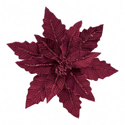 31cm burgundy velvet poinsettia with glitter clip on