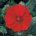 16cm red velvet poppy clip on