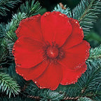 16cm red velvet poppy clip on