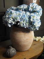 Blue single head hydrangea stem