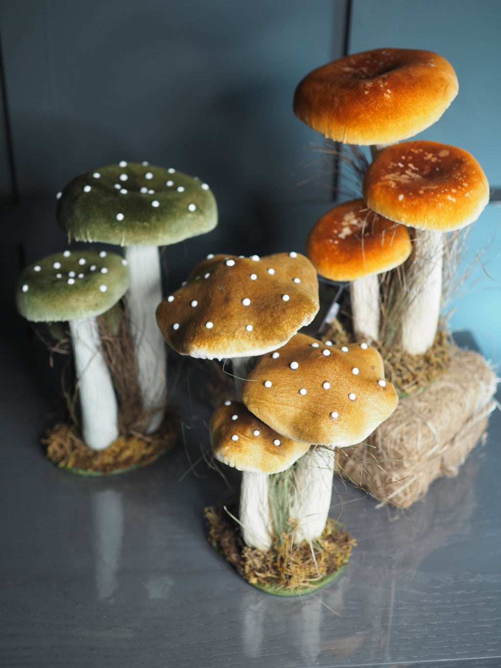 Tall Toadstool family