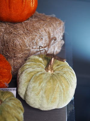 Velvet pumpkins (9cm)