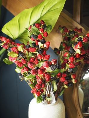 Raspberry and blackberry stem