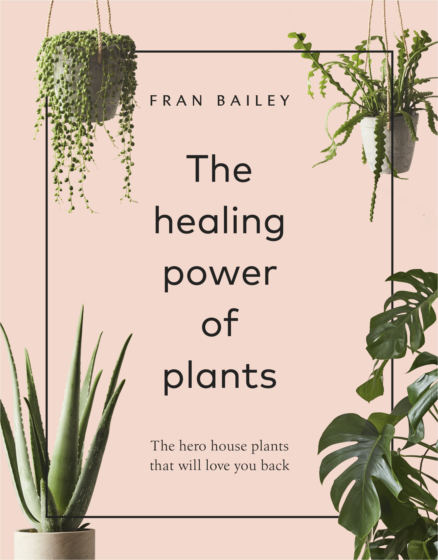Healing power of plants