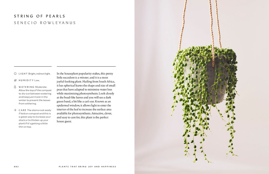 Healing power of plants