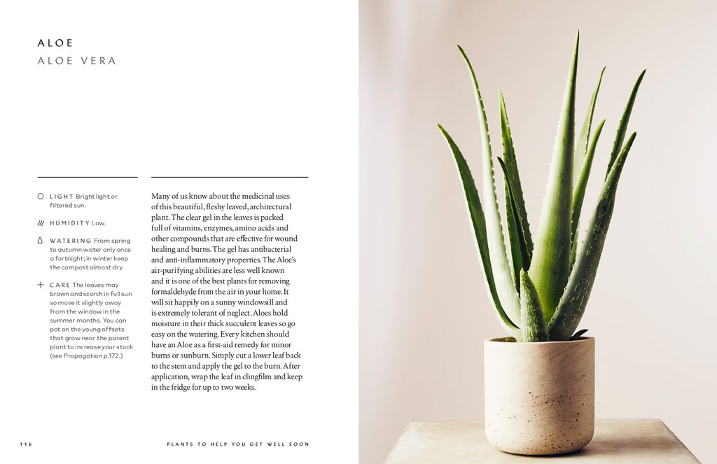 Healing power of plants