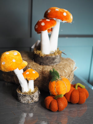 Small velvet orange standing toadstool