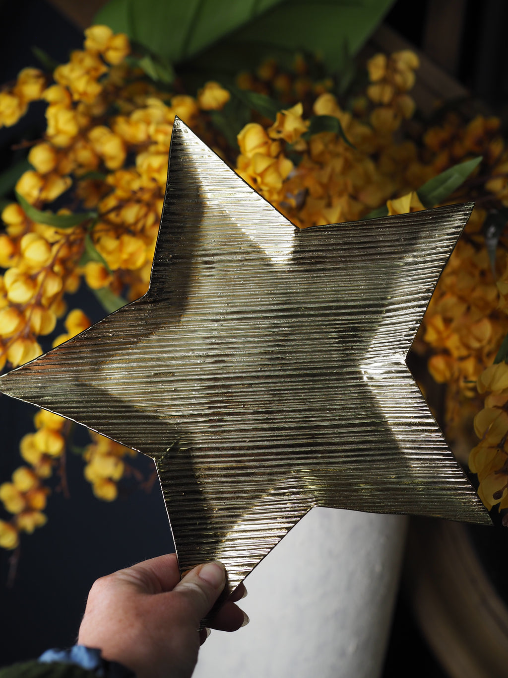 Gold metal star shaped plate