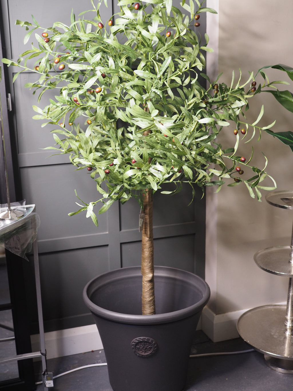 Olive tree