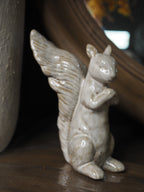 Rustic forage squirrel