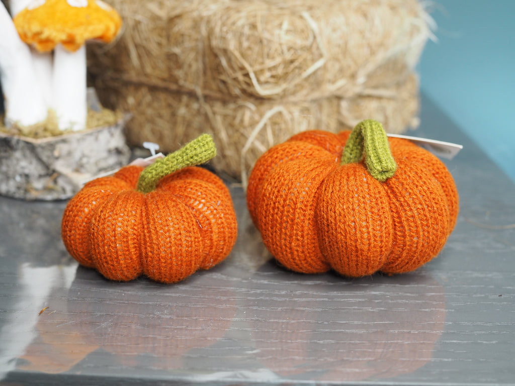 Small burnt orange pumpkin/squash
