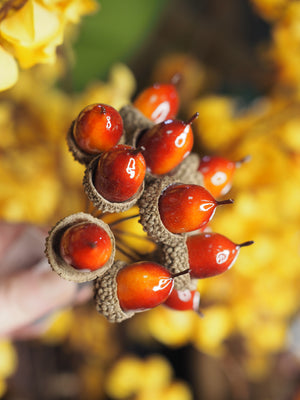 Glossy acorn pick
