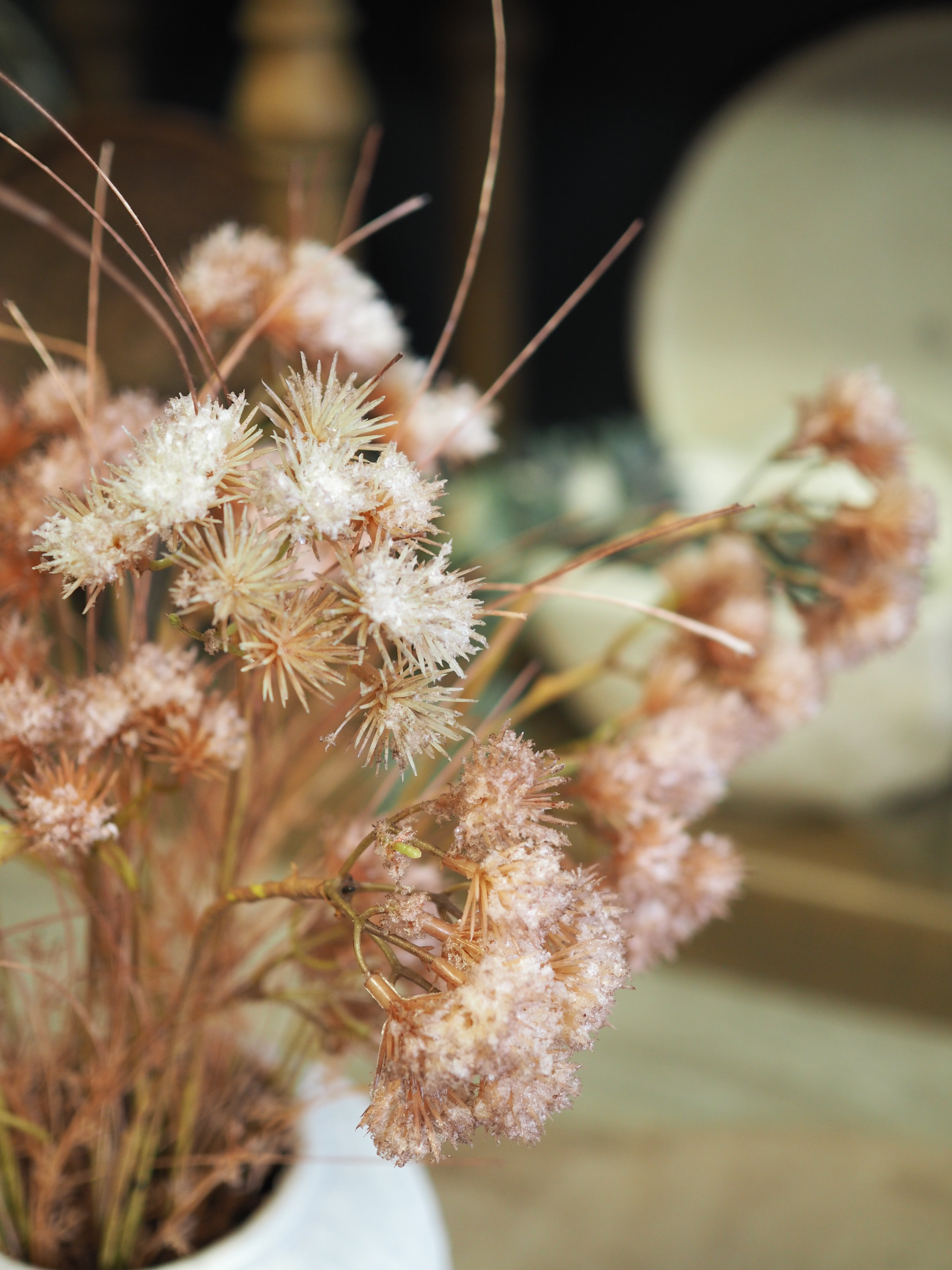 Terracotta toned frosted allium