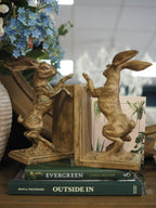 Pair of boxing hare bookends