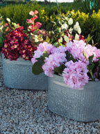 Planter zinc oval outdoor