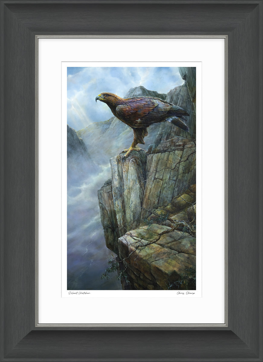 'Silent Watcher' by Chris Sharp