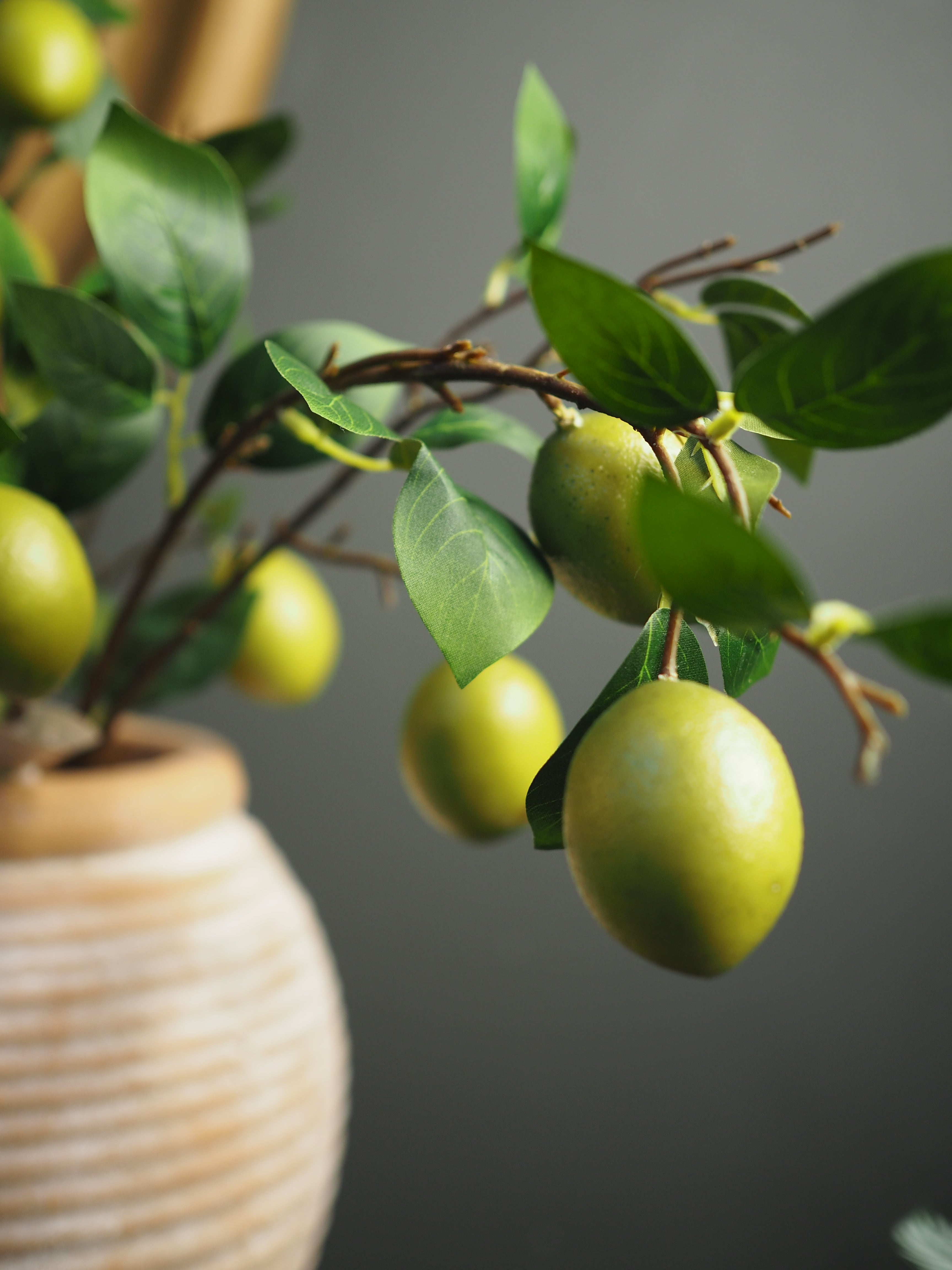 Lime Branch