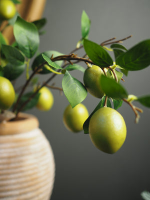 Lime Branch