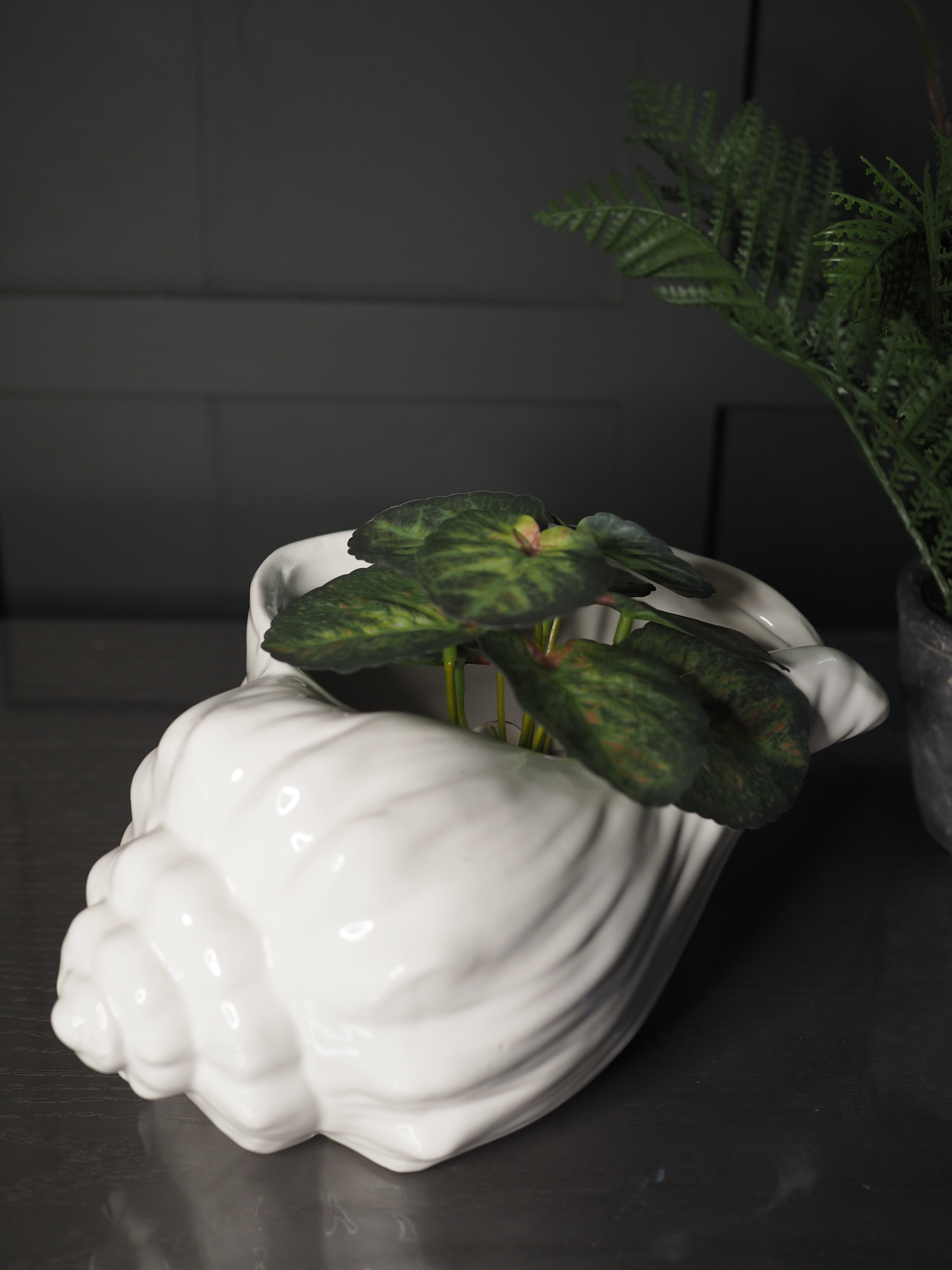 White Sea shell shaped planter