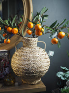 Clementine Branch