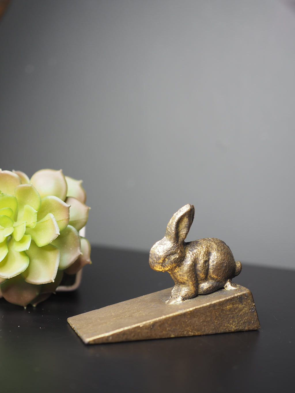 Rabbit door wedge