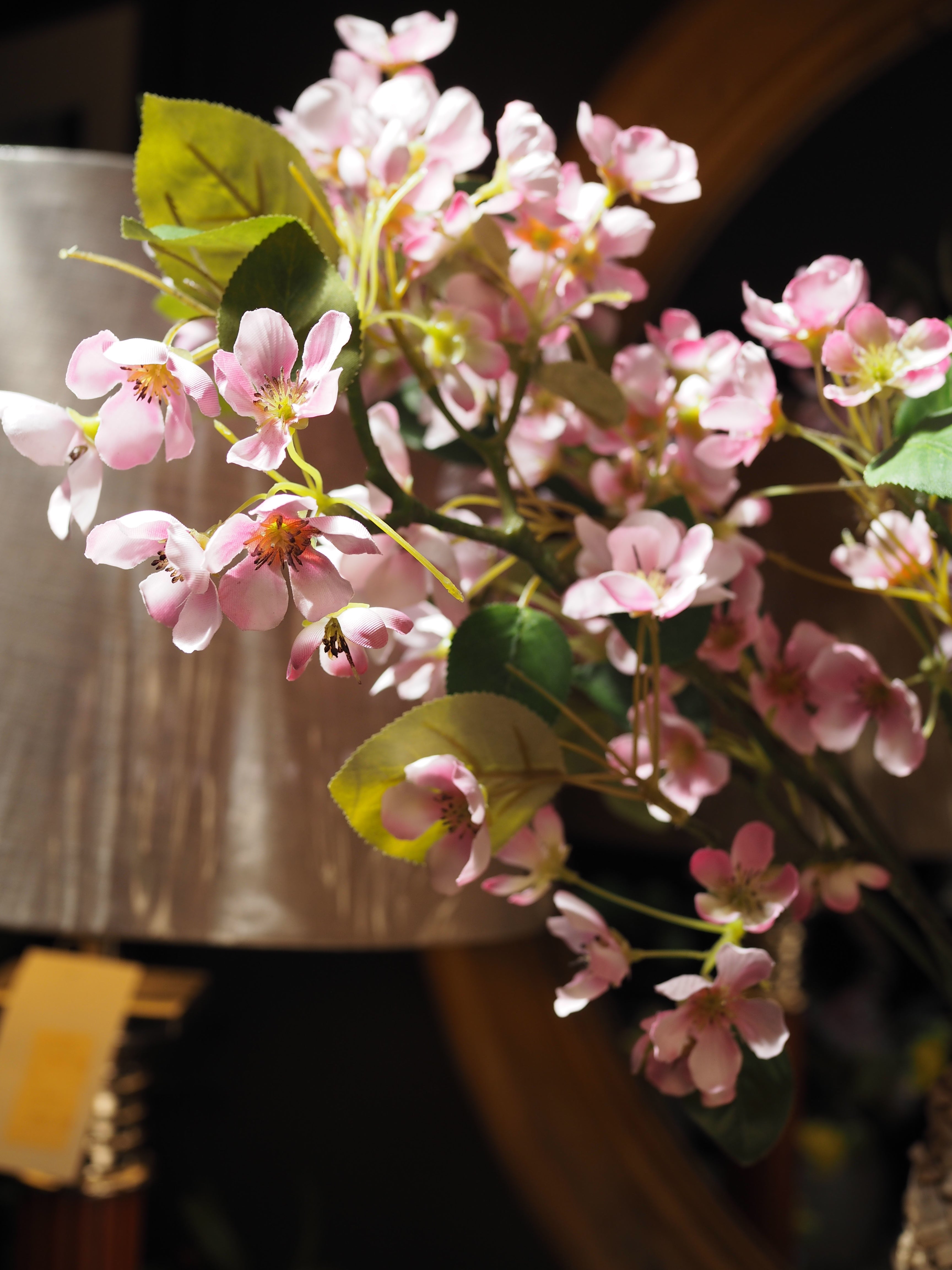 Tall apple blossom (Pink)