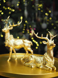 Gold collared laying reindeer