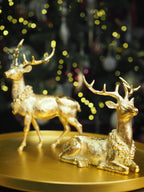 Gold collared laying reindeer