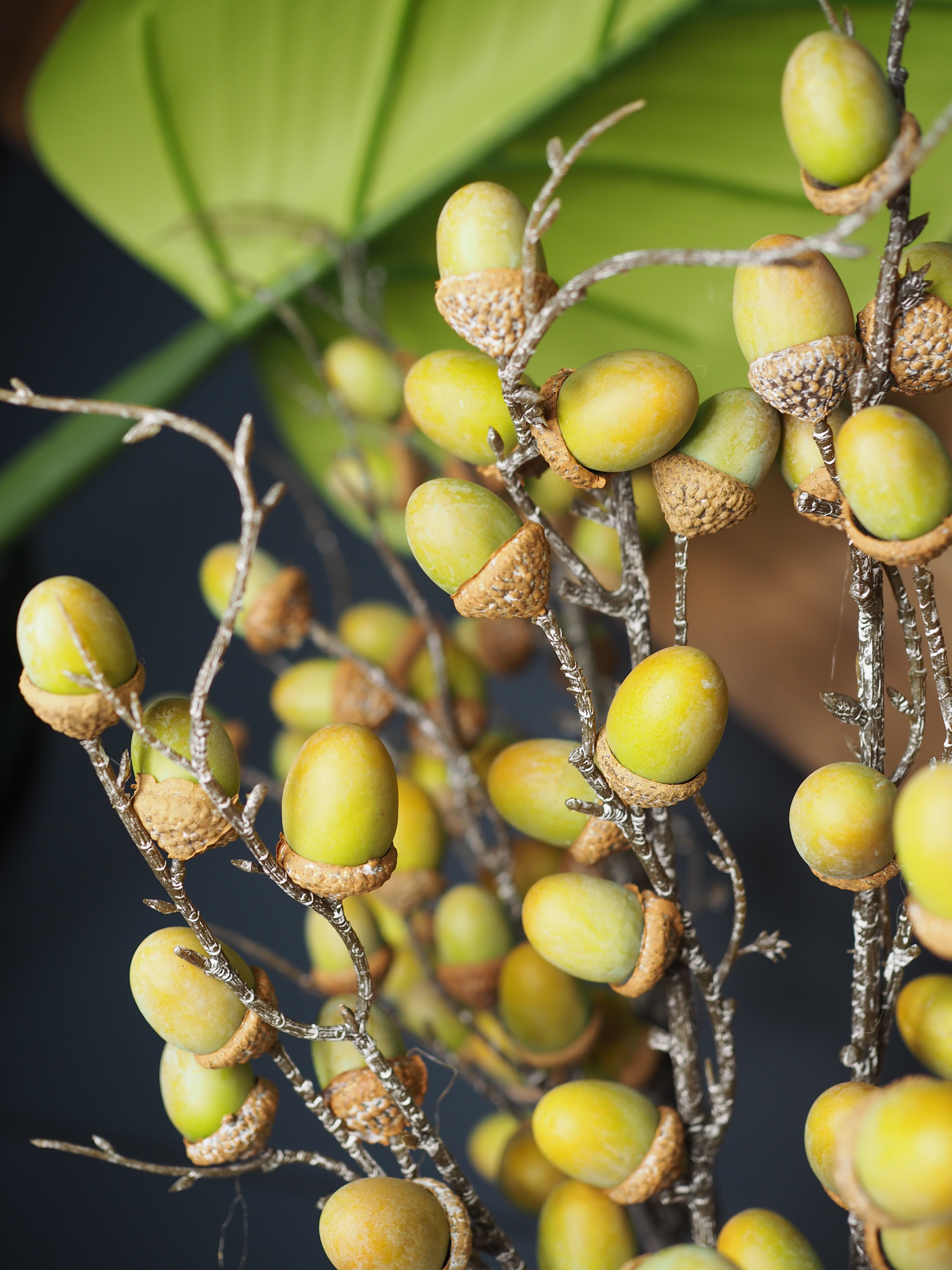 Acorn spray