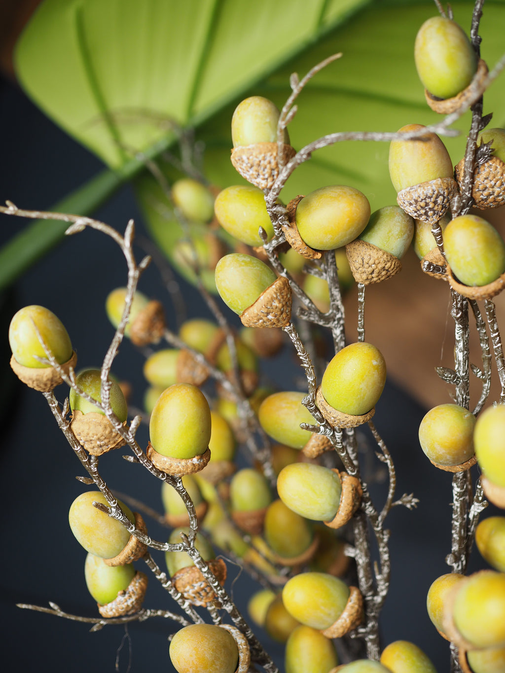 Acorn spray