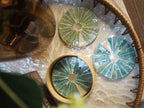 Capiz coasters- set of 4