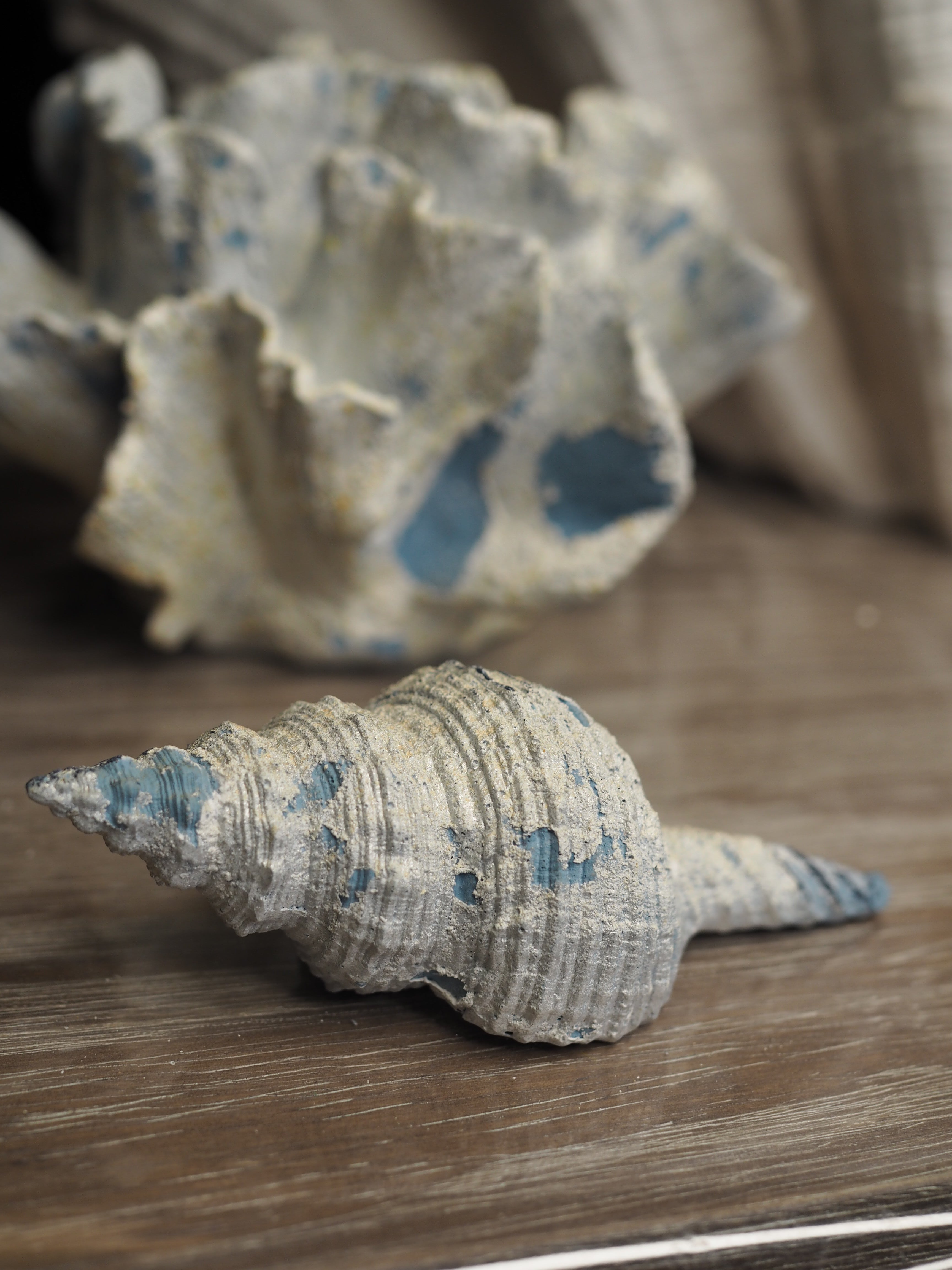 Shell ornament