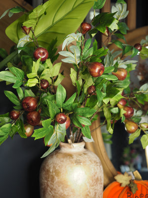 Fig Branch