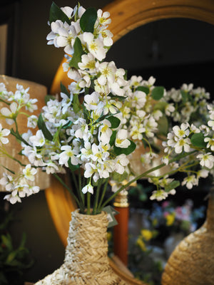 Tall apple blossom (Off-white)