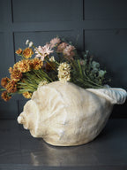 Sea shell shaped planter