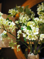 Tall apple blossom (Green)