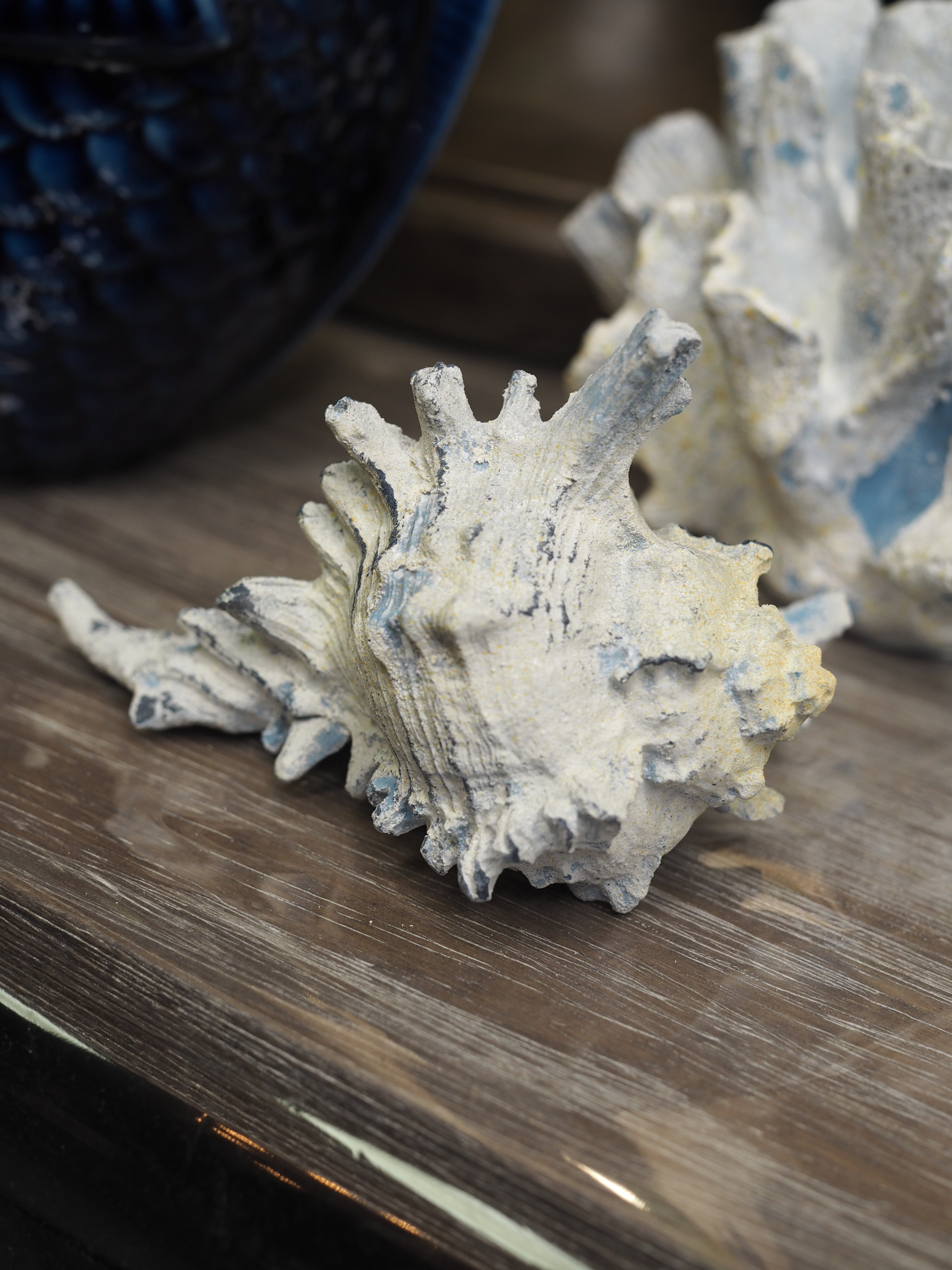 Shell ornament