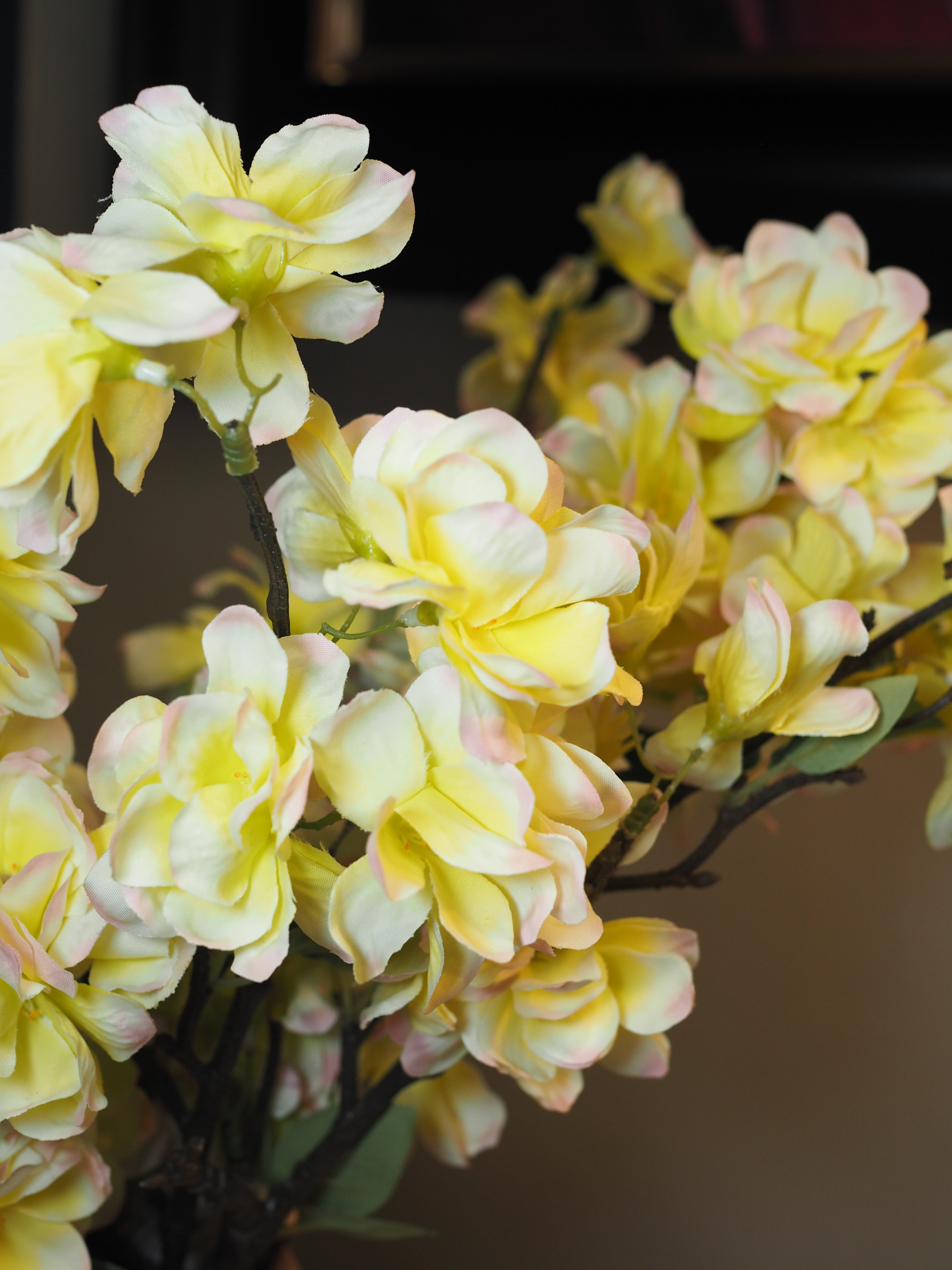 Short apple blossom