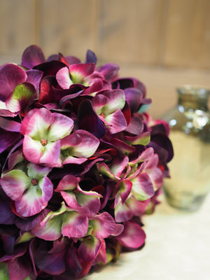 Dark Purple Hydrangea Stem - 106cm