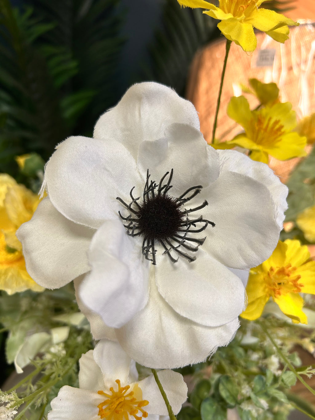 White Anemone Stem